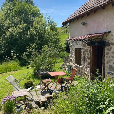 Maisonnette Chaleureuse De 35M2 Miremont  Exterior foto