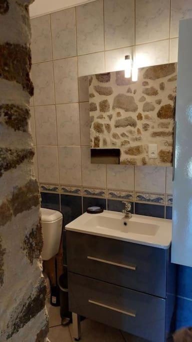 Maisonnette Chaleureuse De 35M2 Miremont  Exterior foto